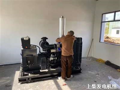 武漢柴油發電機組 供貨