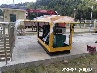 濰柴柴油發電機組 供貨