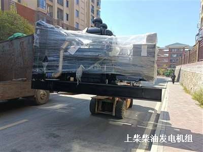 上(shàng)柴發電機組 供貨